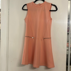 Zara skater dress‎